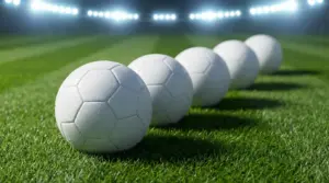 Todos los artículos